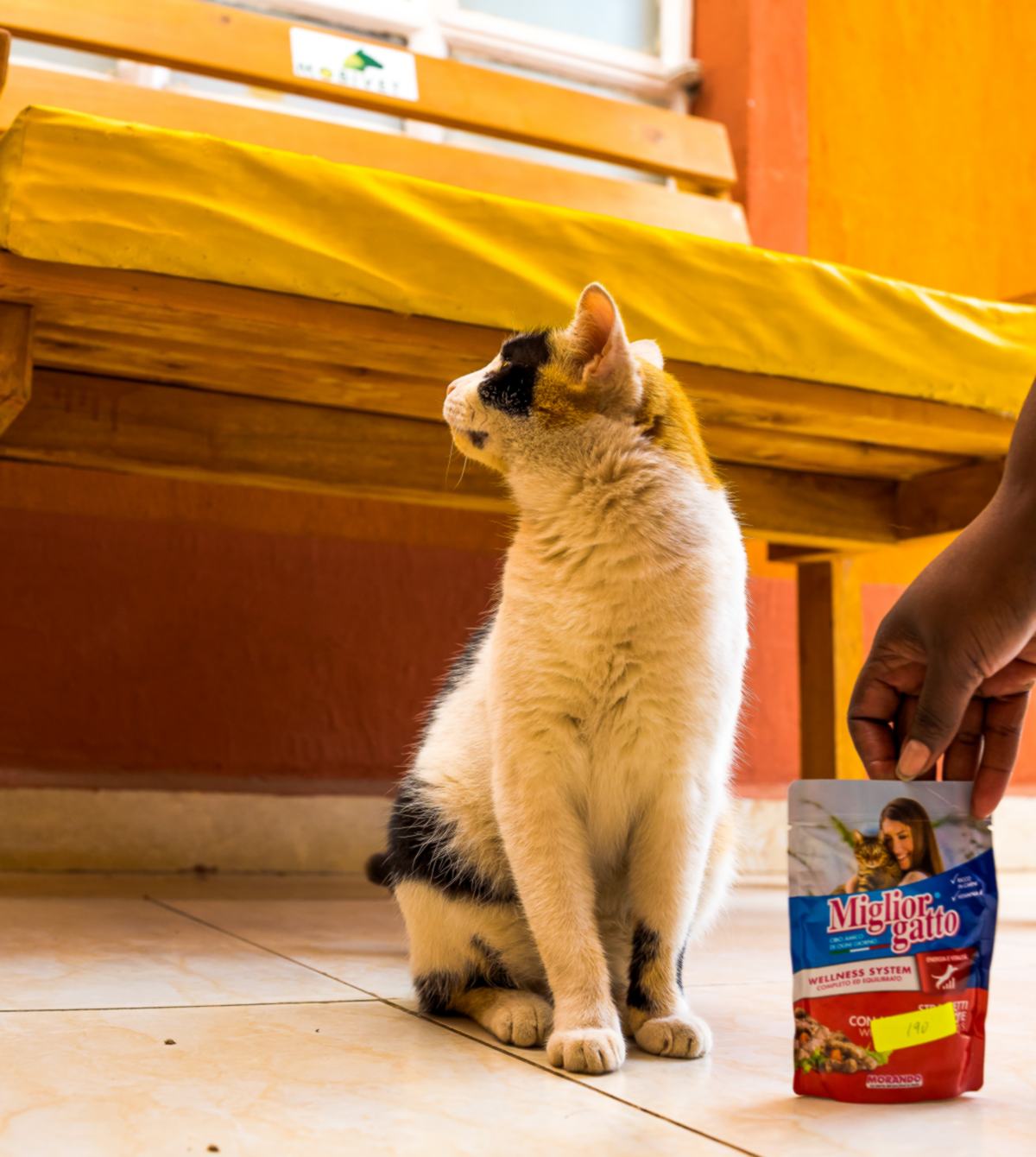 Mobivet Veterinary Clinic gallery photo